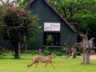 Nkorho Bush Lodge Sabi-Sand-Reservat