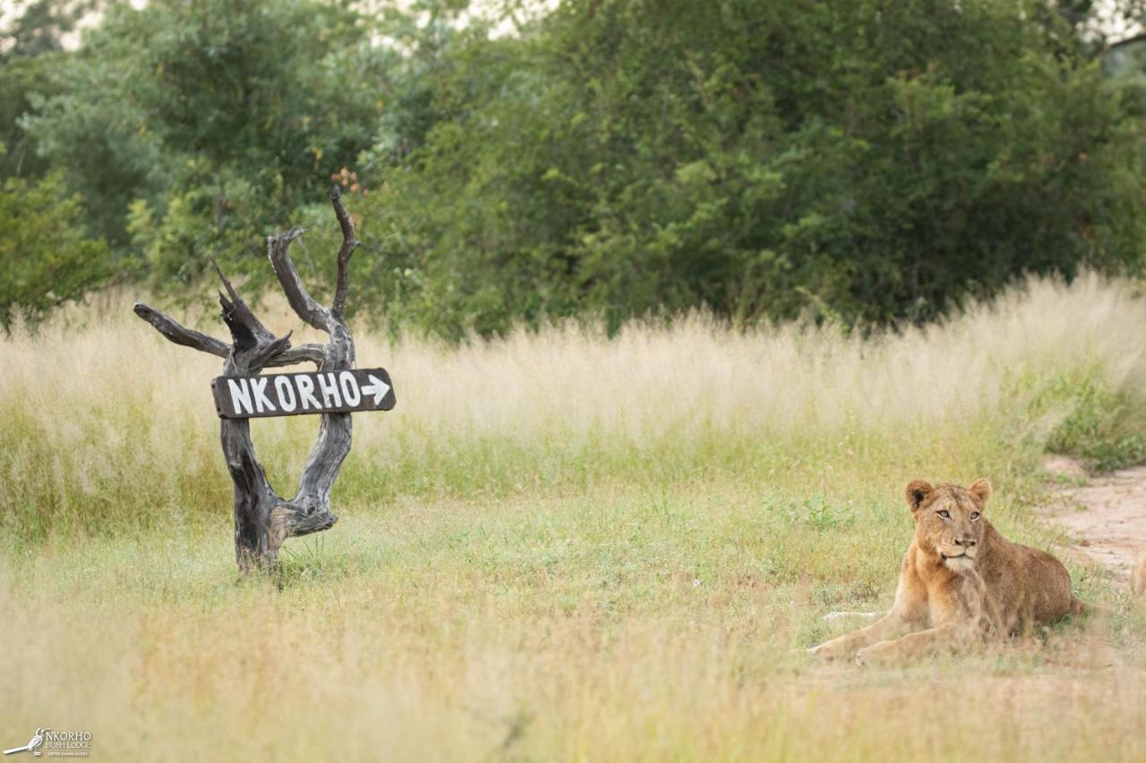 Nkorho Bush Lodge Sabi-Sand-Reservat
