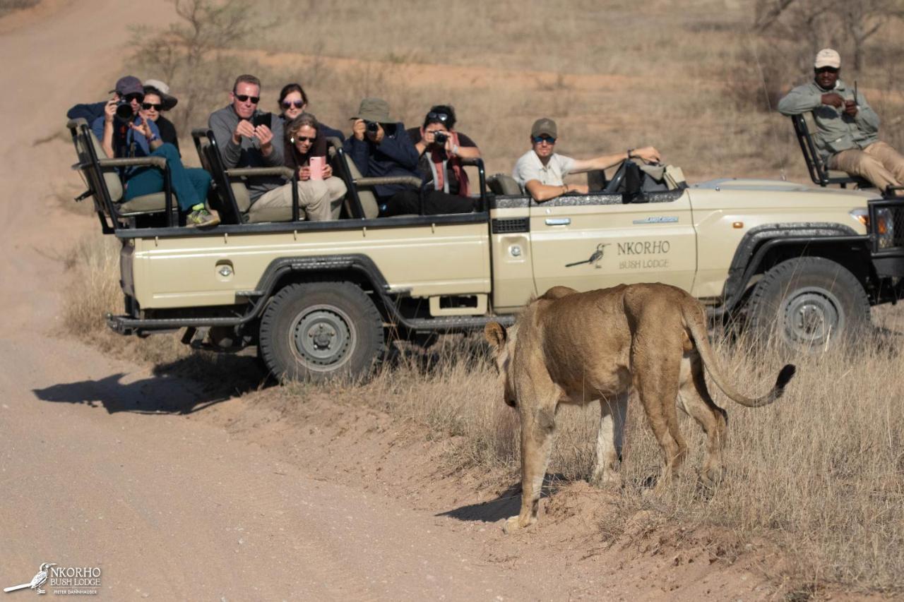 Lodge Nkorho Bush Sabi-Sand-Reservat