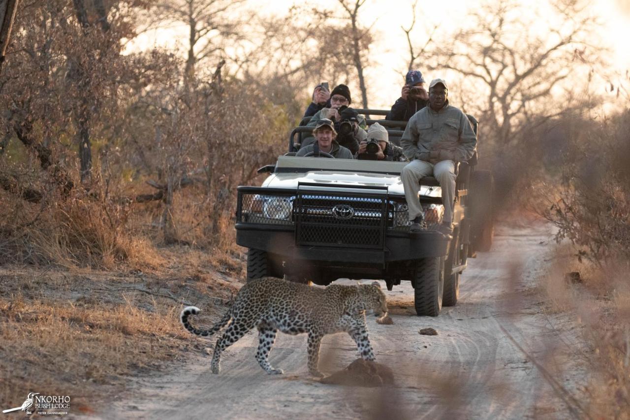 Lodge Nkorho Bush *