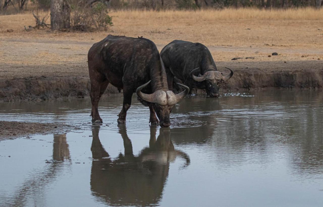Lodge Nkorho Bush